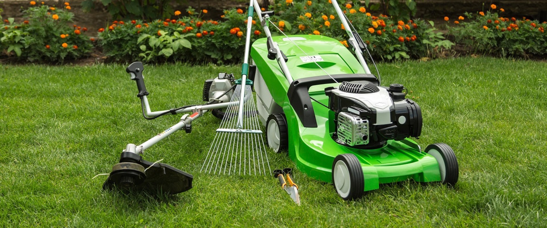 Essential Safety Precautions for Lawn Fertilization