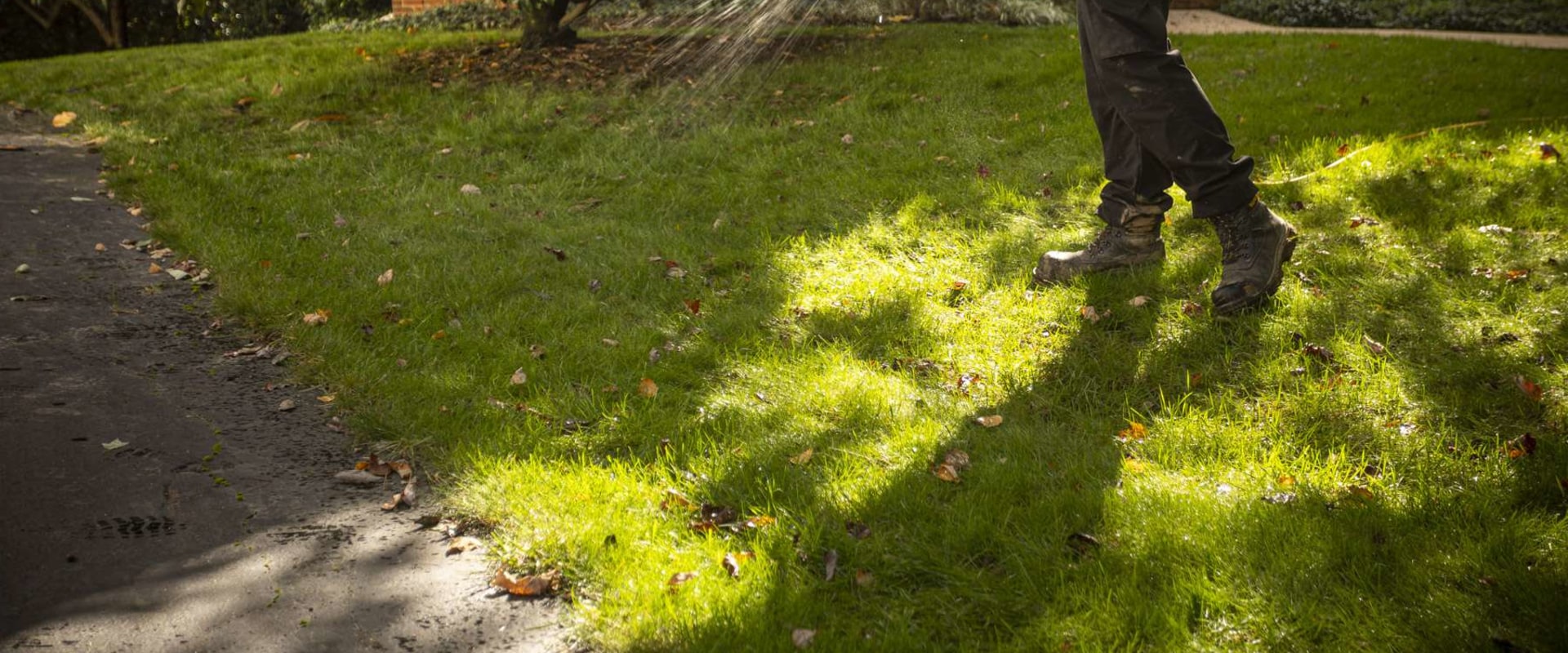 Understanding Lawn Fertilization: The Importance of Watering After Application