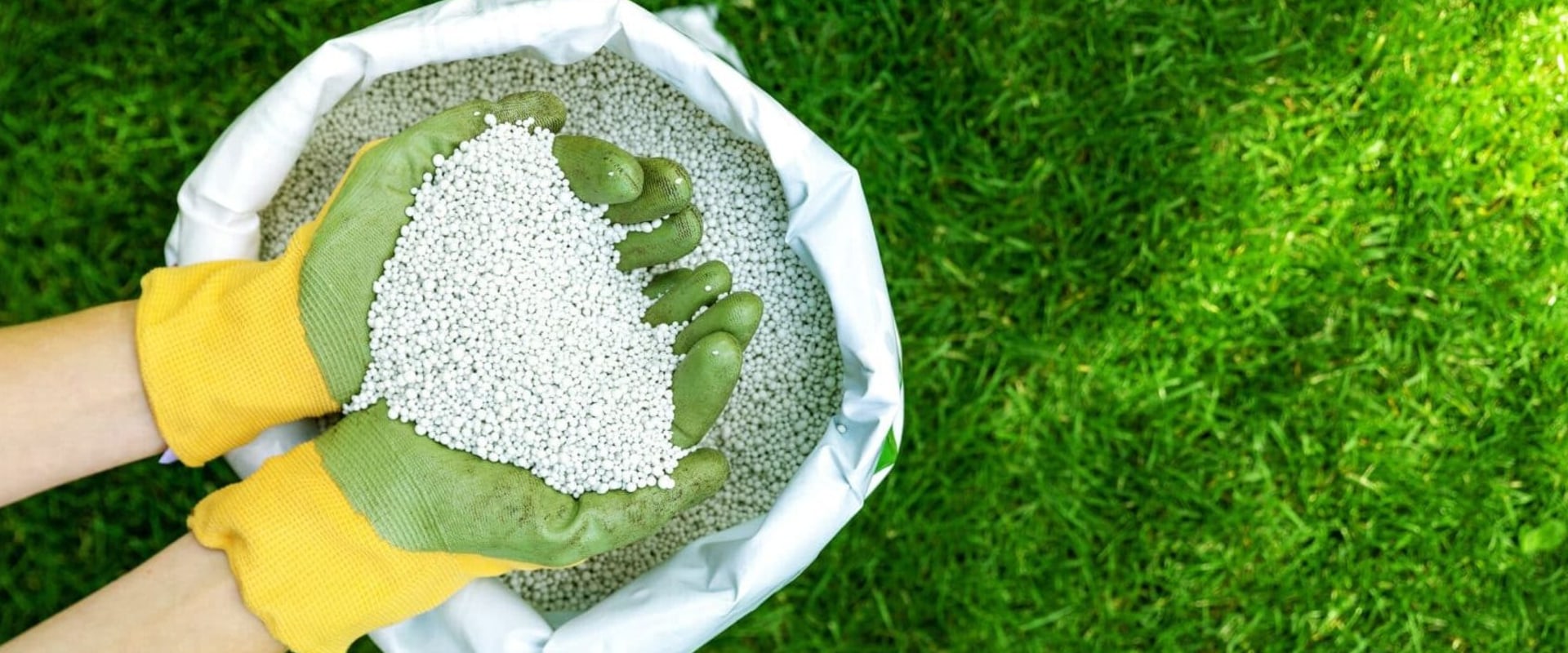 Understanding the Impact of Climate and Weather on Lawn Fertilization Timing and Frequency