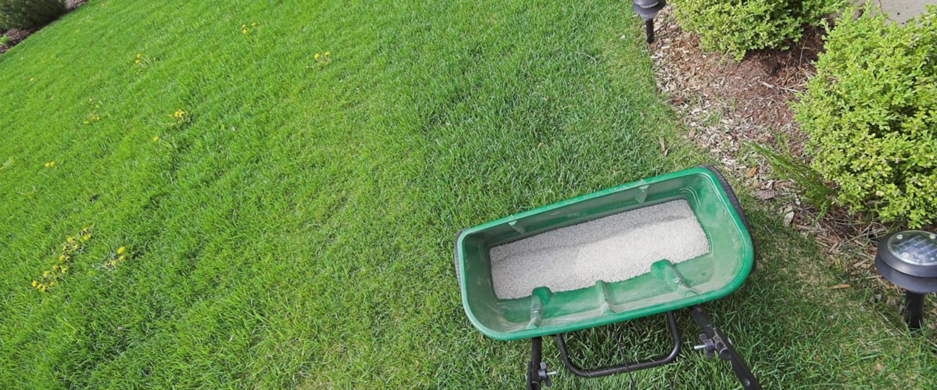 Understanding Lawn Fertilization for Newly Seeded and Sodded Lawns