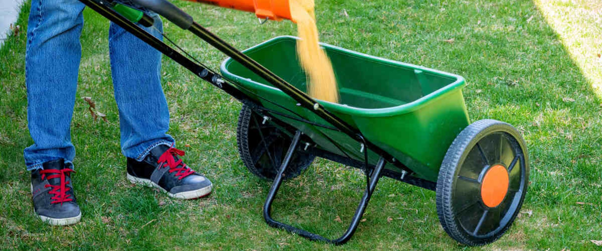 Top Mistakes to Avoid for Effective Lawn Fertilization