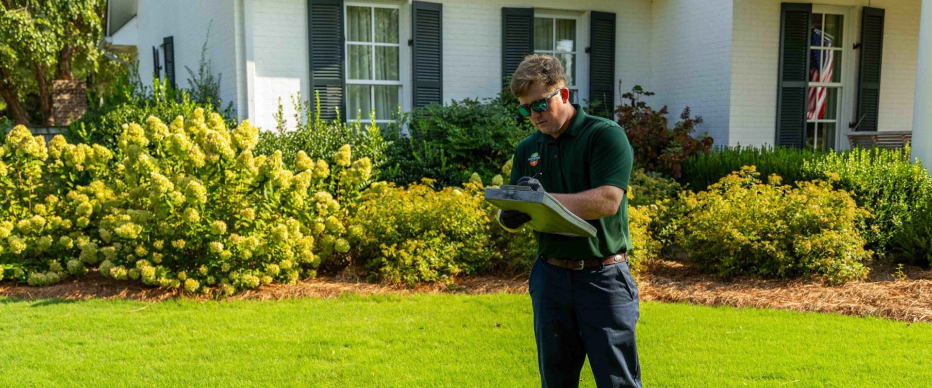 Understanding the Timeline for Lawn Fertilization Results