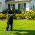 Understanding the Timeline for Lawn Fertilization Results