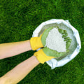 Understanding Lawn Fertilization: A Complete Guide to Healthy Grass