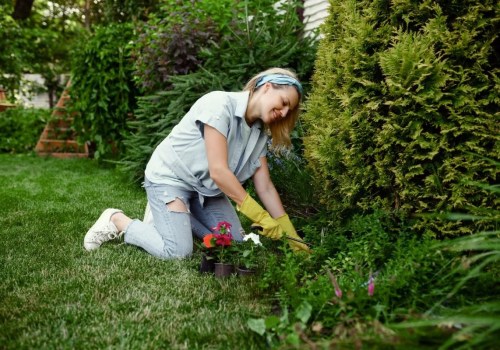 Eco-Friendly Lawn Fertilization: Sustainable Practices for a Greener Yard