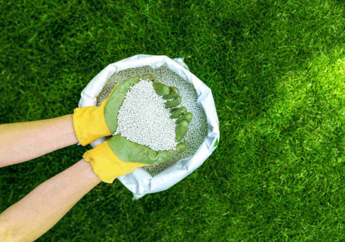 Key Considerations for Choosing the Right Lawn Fertilizer