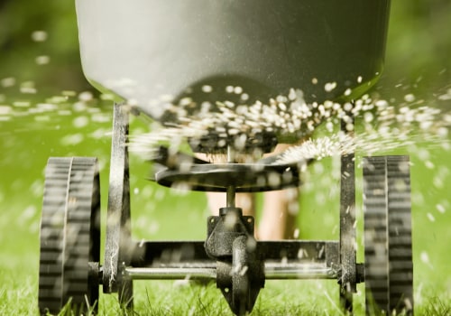 Creating a Tailored Fertilization Schedule for a Thriving Lawn