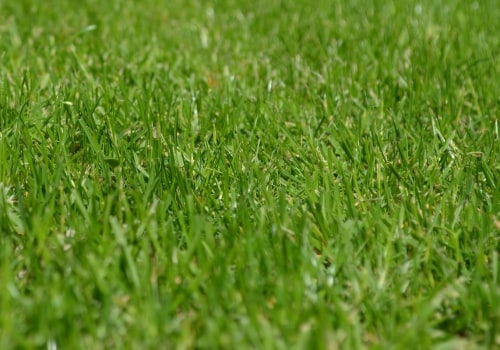 Enhance Your Lawn's Health with Core Aeration and Fertilization