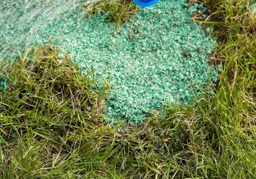 Using Natural and Organic Fertilizers for a Healthy Lawn