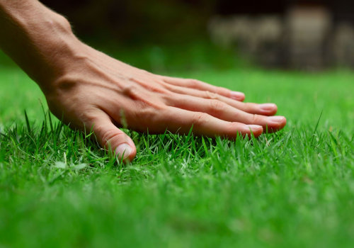 Natural Methods to Enhance Soil Fertility for Lush Lawns