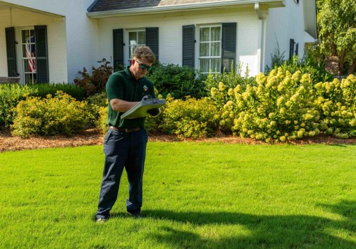 Understanding the Timeline for Lawn Fertilization Results