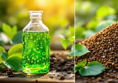 Understanding the Key Differences Between Liquid and Granular Fertilizers for Lawn Care